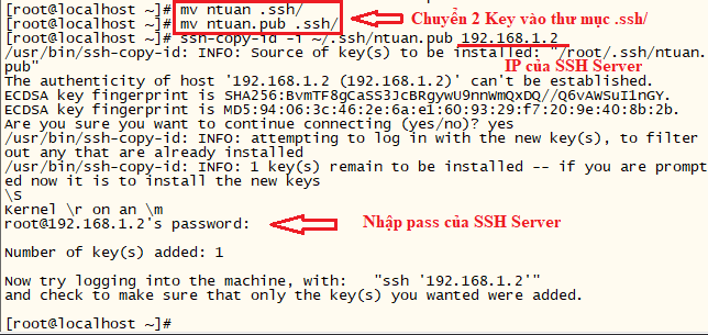 Hướng dẫn sử dụng SSH Key trên Linux – Knowledge Base